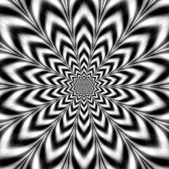 Meet your Posher, Yvette - Picture 10 of 10